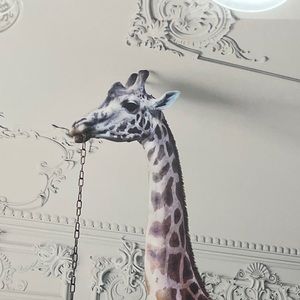 Meet your Posher, Kassie